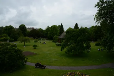 DSC_2532 (Large).JPG